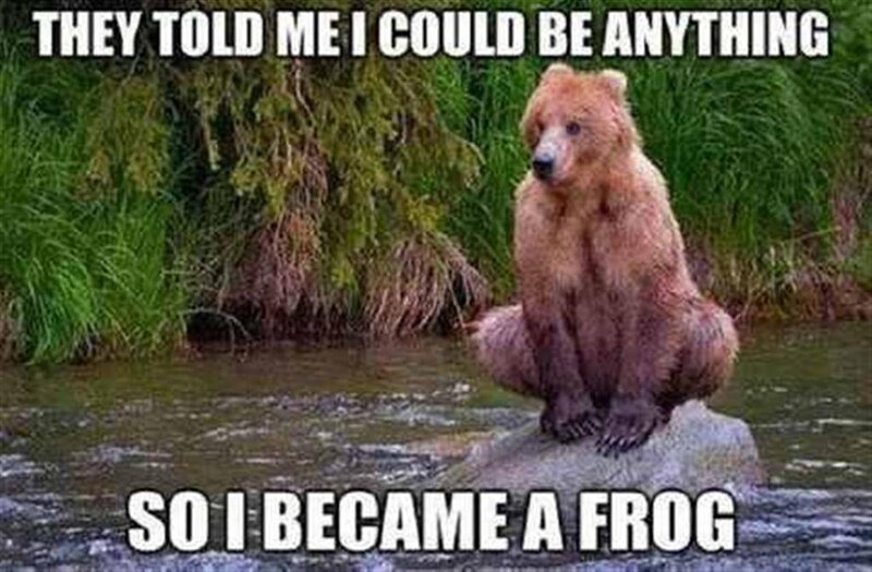 Brown Bear Sitting — Melancholic