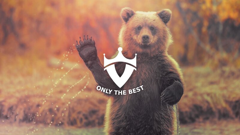 Brown Bear Standing — Dramatic