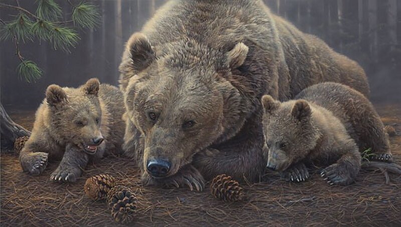 Brown Bear with Cubs — Serene