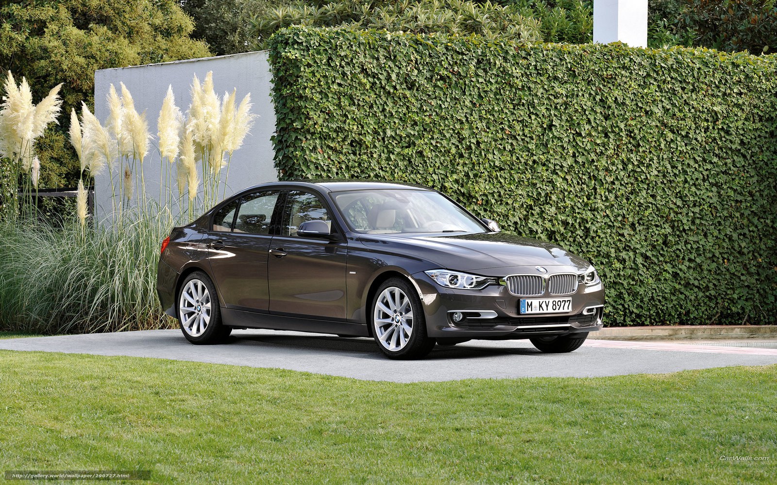 Brown BMW 3 Series sedan