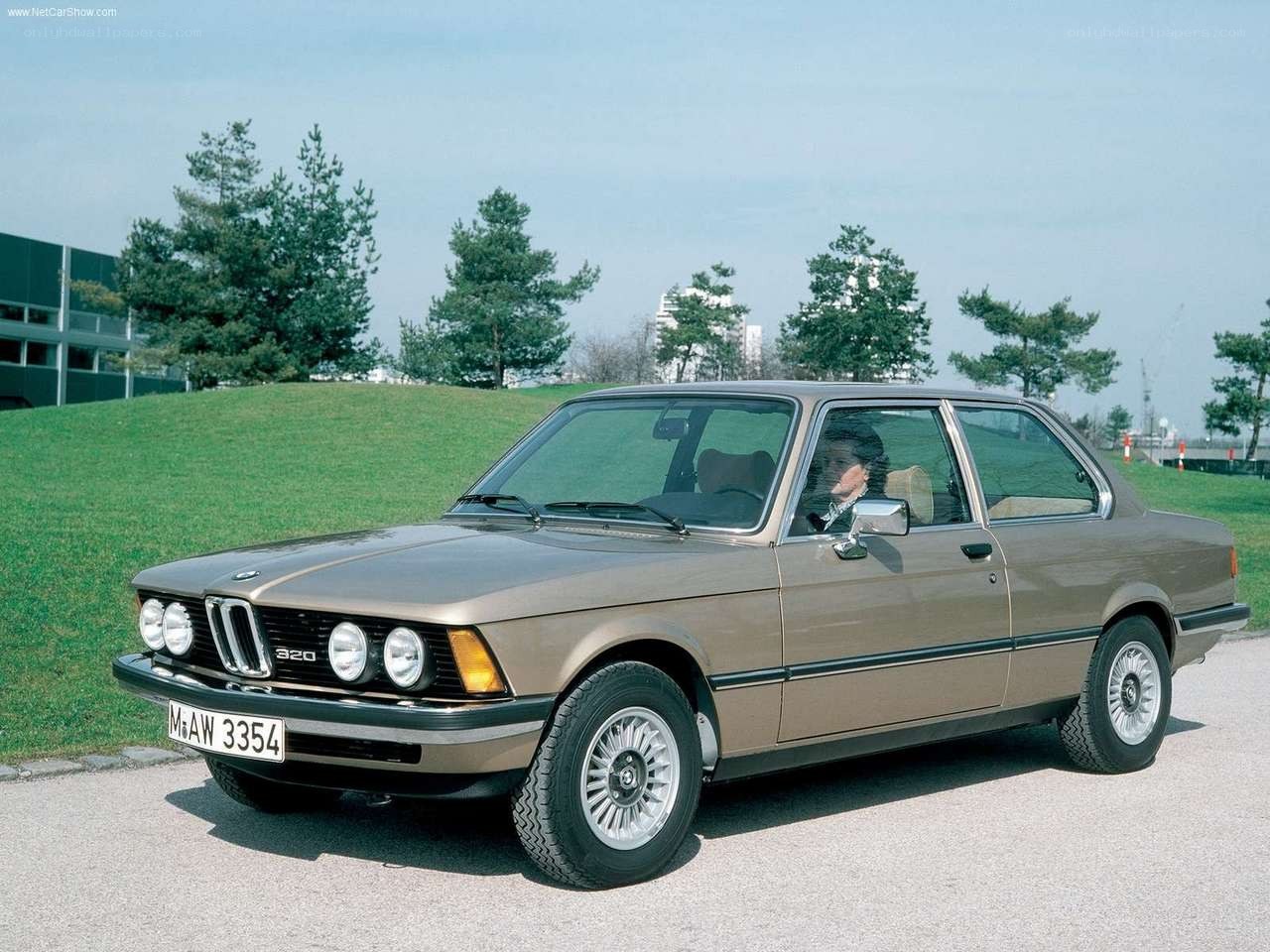 Brown BMW 320 coupe