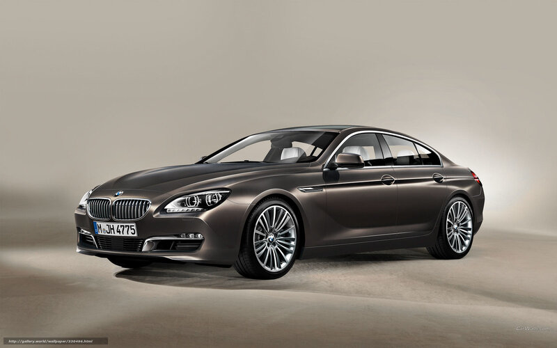 Brown BMW 6 Series — Gray