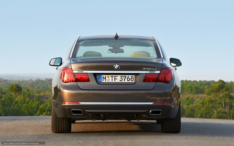 Brown BMW 750 Li