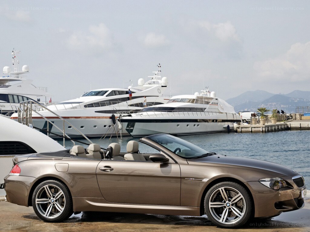Brown BMW convertible at marina