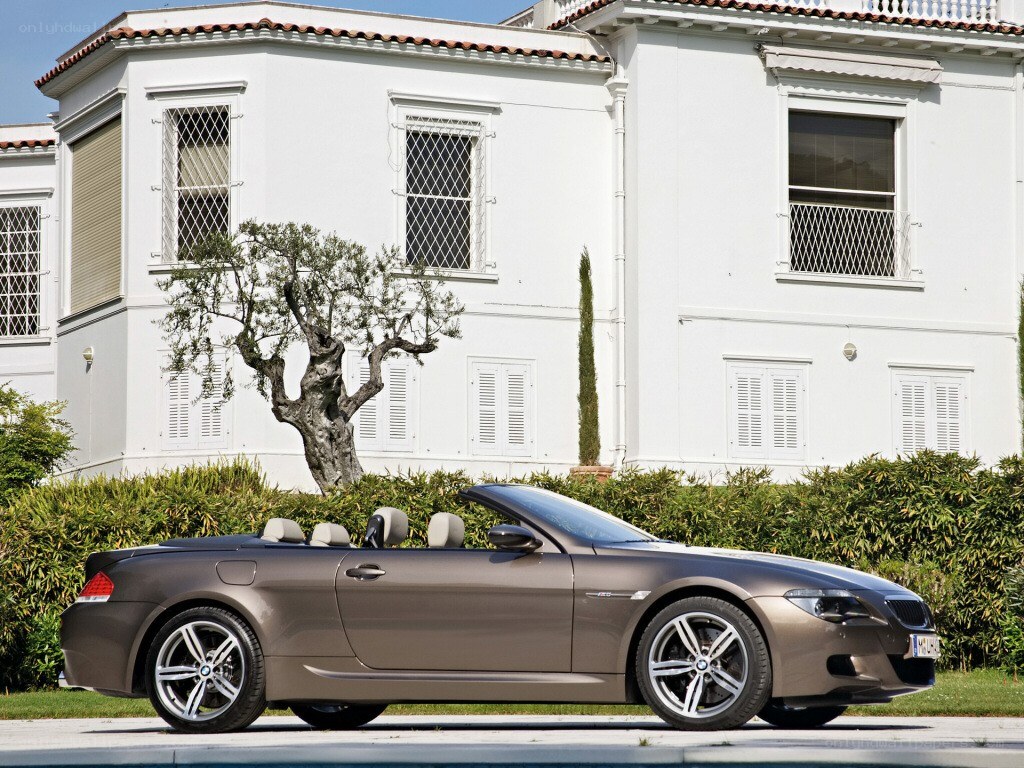 Brown BMW convertible car