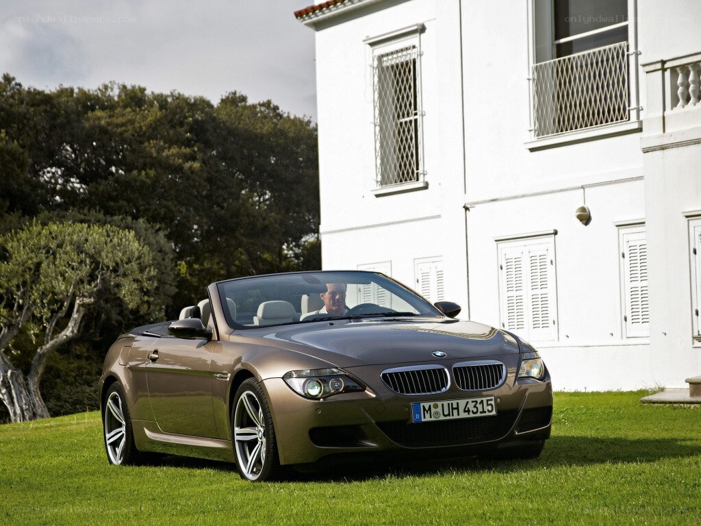 Brown BMW convertible on lawn