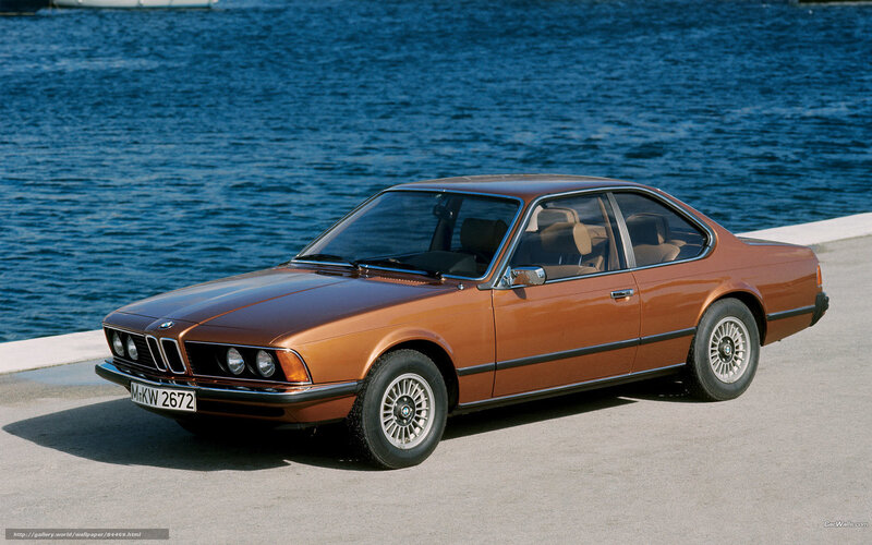 Brown BMW coupe by the water