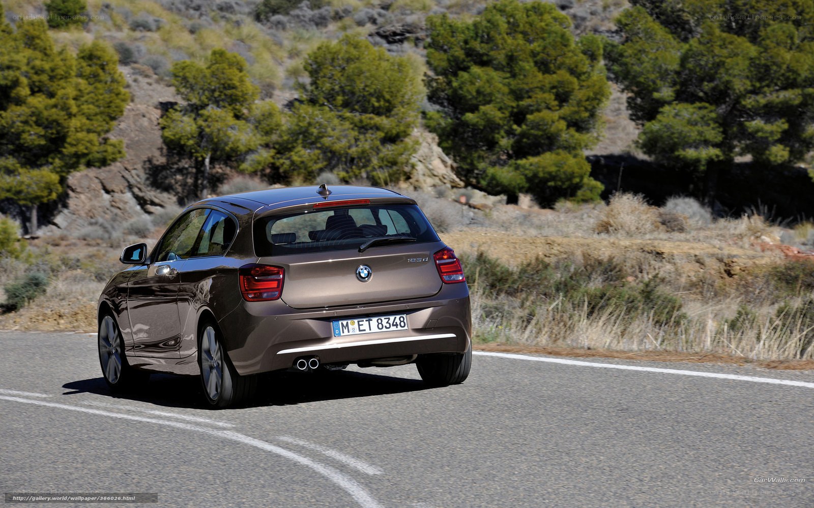 brown bmw on a winding road