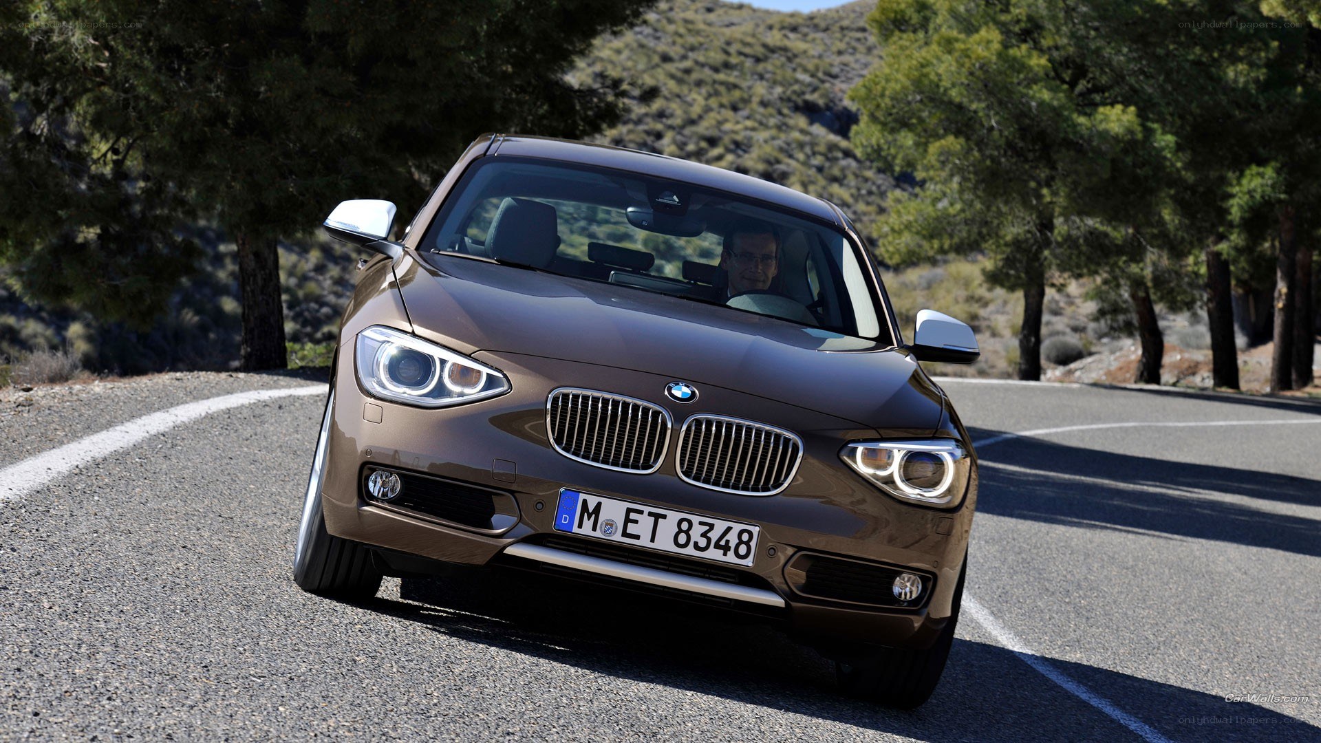 brown bmw on winding road