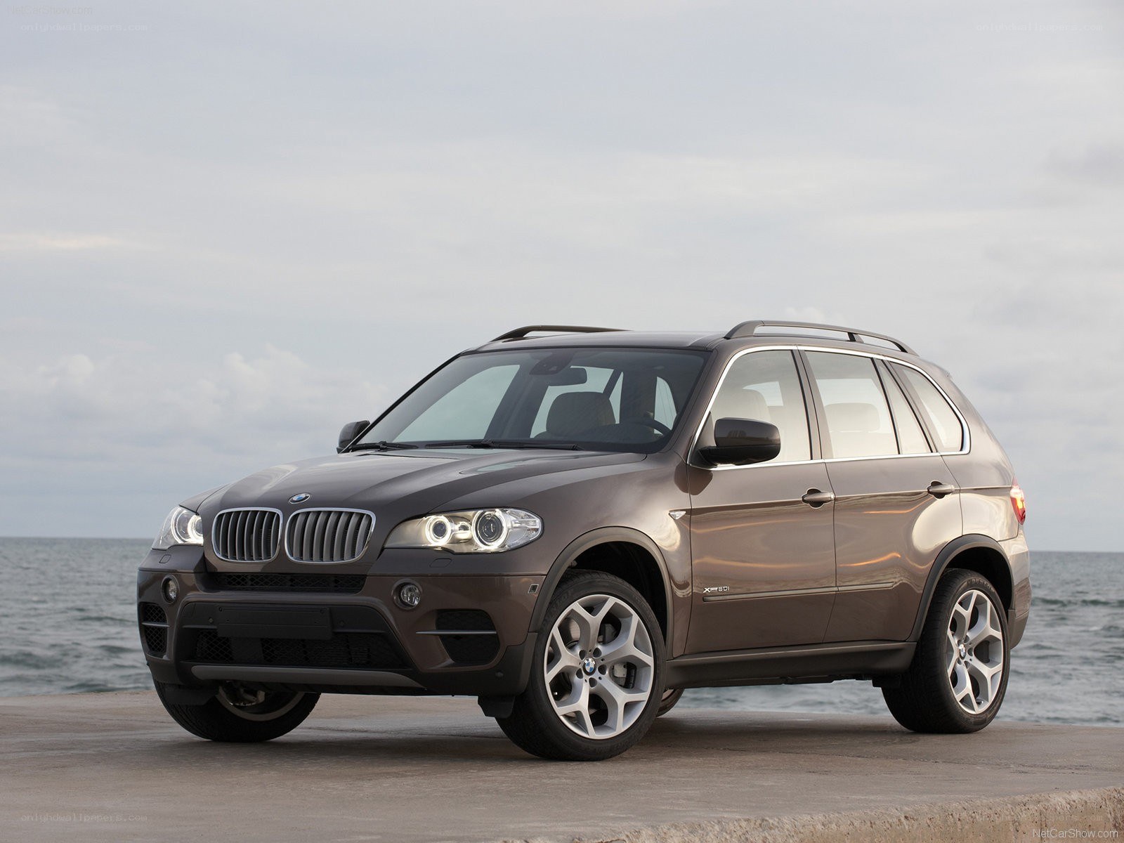 Brown BMW X5 by the sea