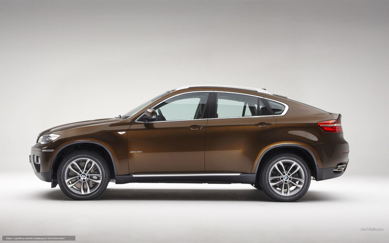 Brown Bmw X6 Suv — Neutral
