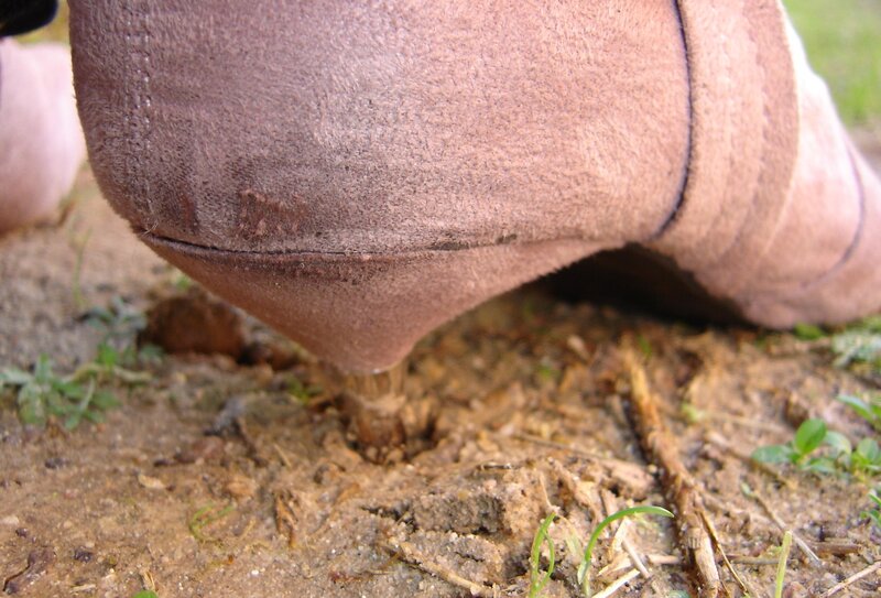 Brown Boot on Dirt