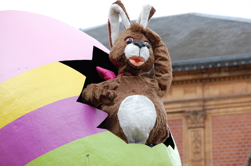 Brown Bunny Costume
