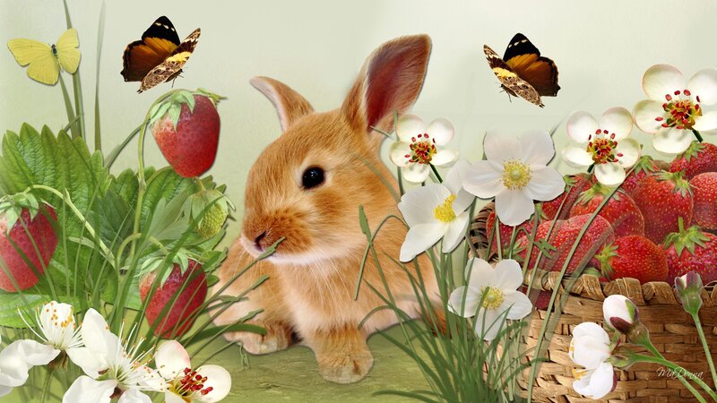 Brown Bunny in Flowers — Green
