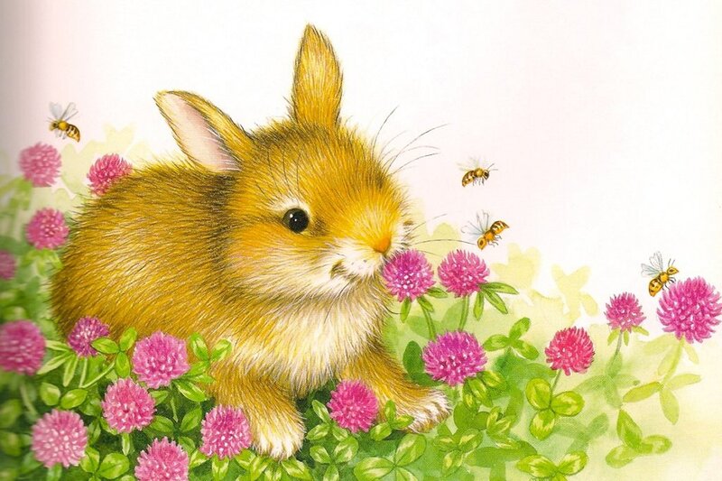 Brown Bunny in Flowers — Pink