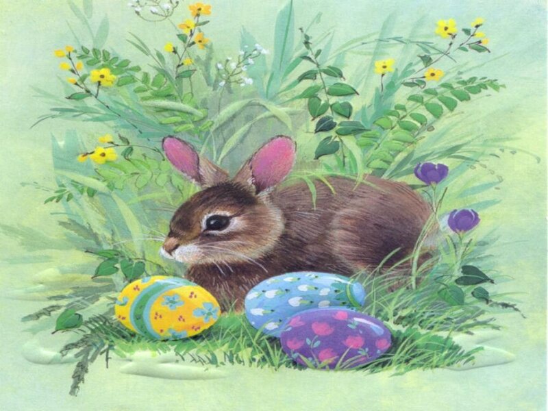 Brown Bunny in Grass — Green