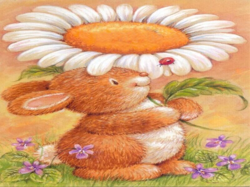 Brown Bunny Rabbit — Orange