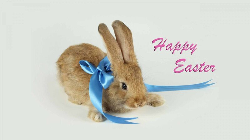 Brown Bunny with Blue Bow