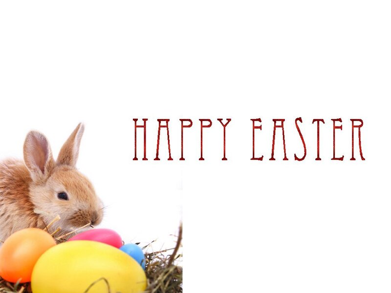 Brown Bunny with Eggs — White