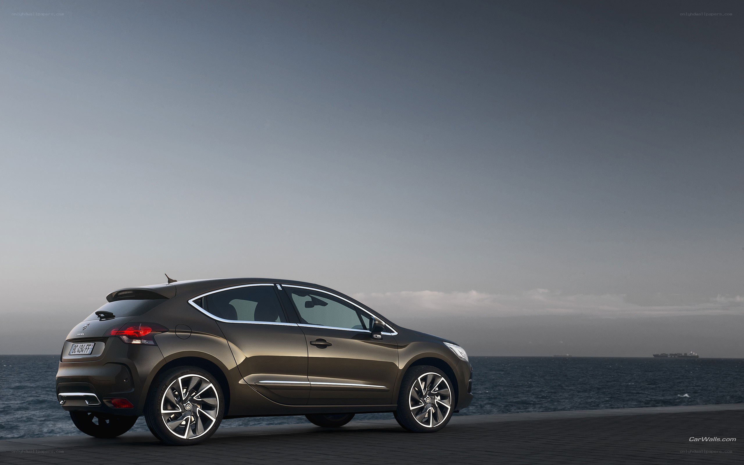 Brown car by the sea