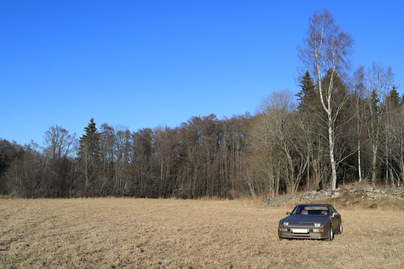 Brown Car in Field
