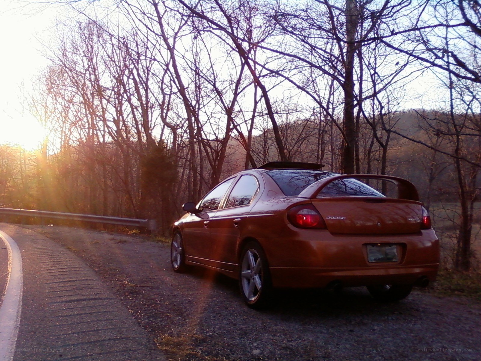 Brown car on a forest road