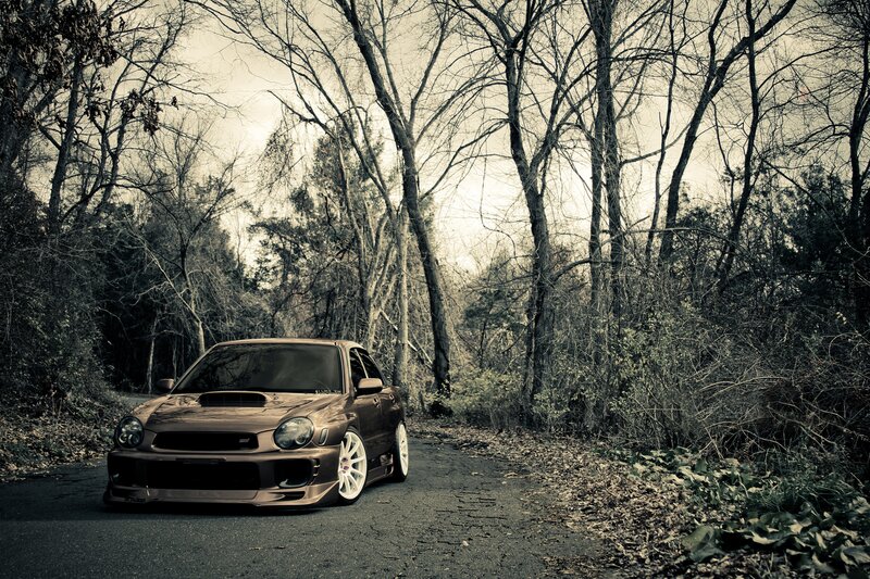 Brown car on forest road