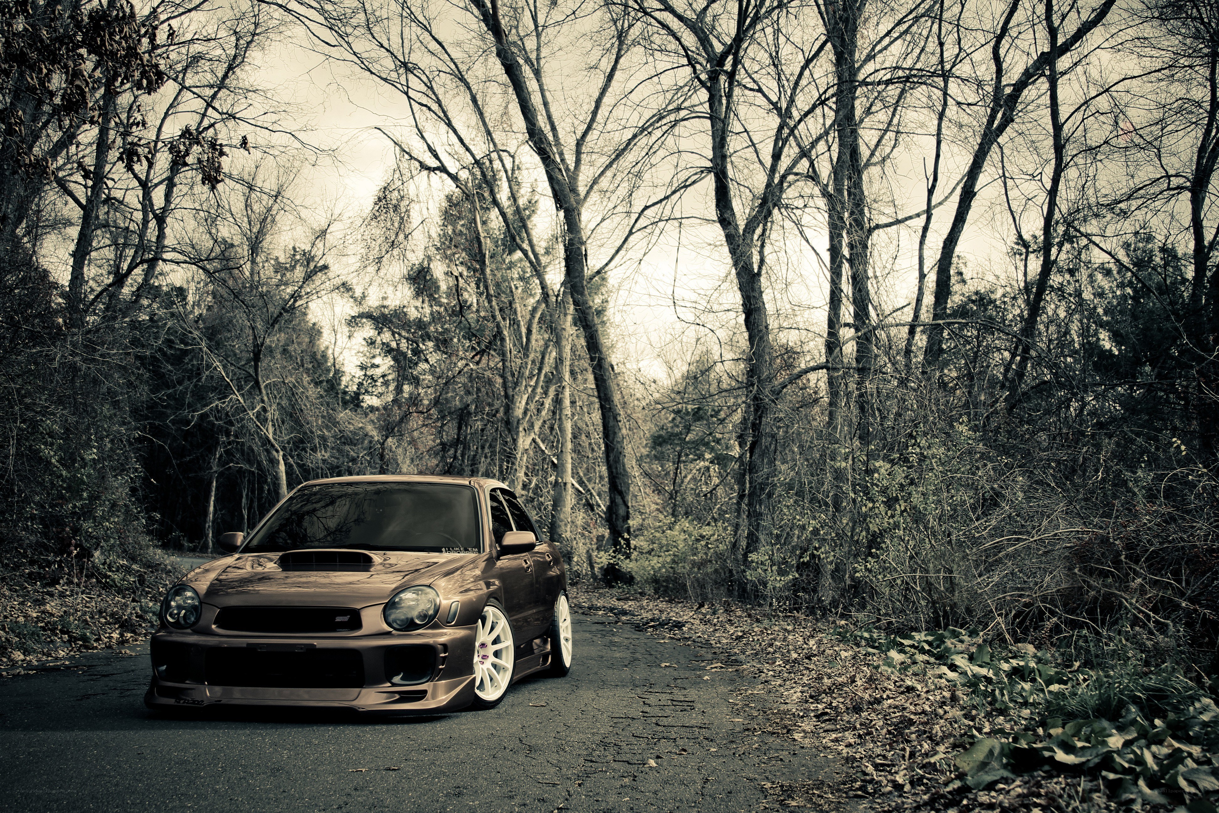 Brown car on forest road