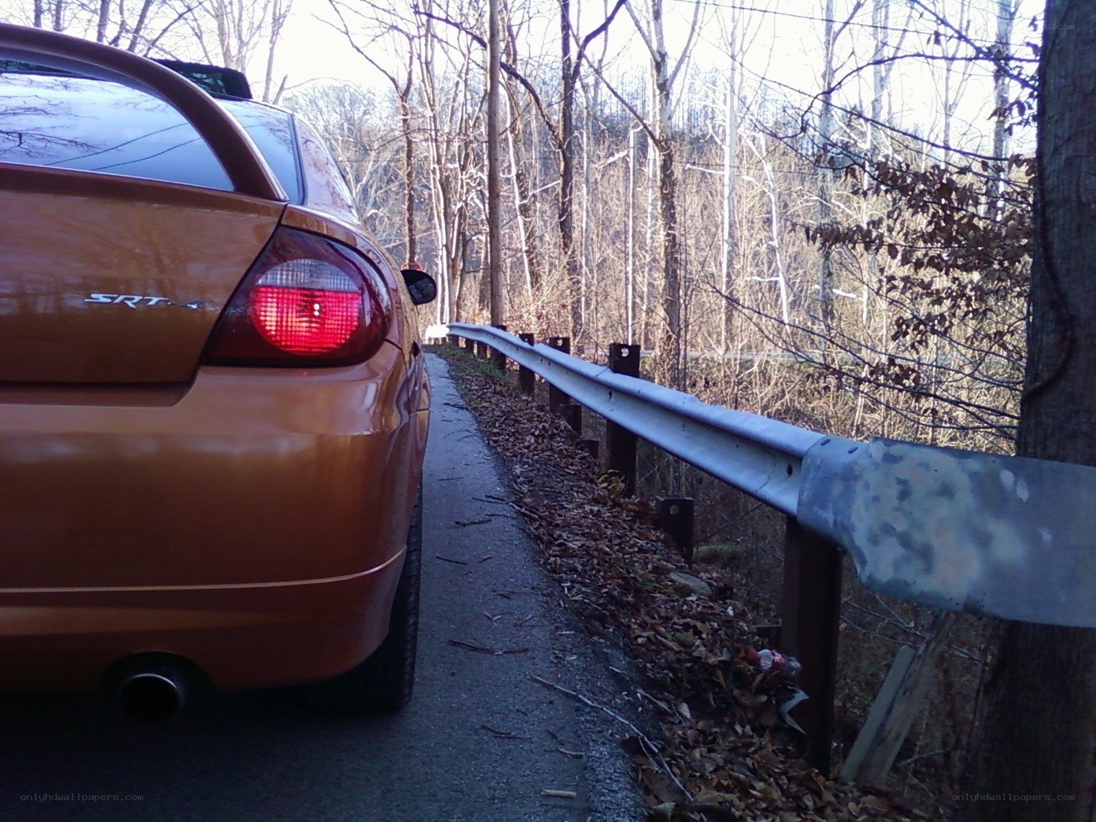 Brown car on forest road