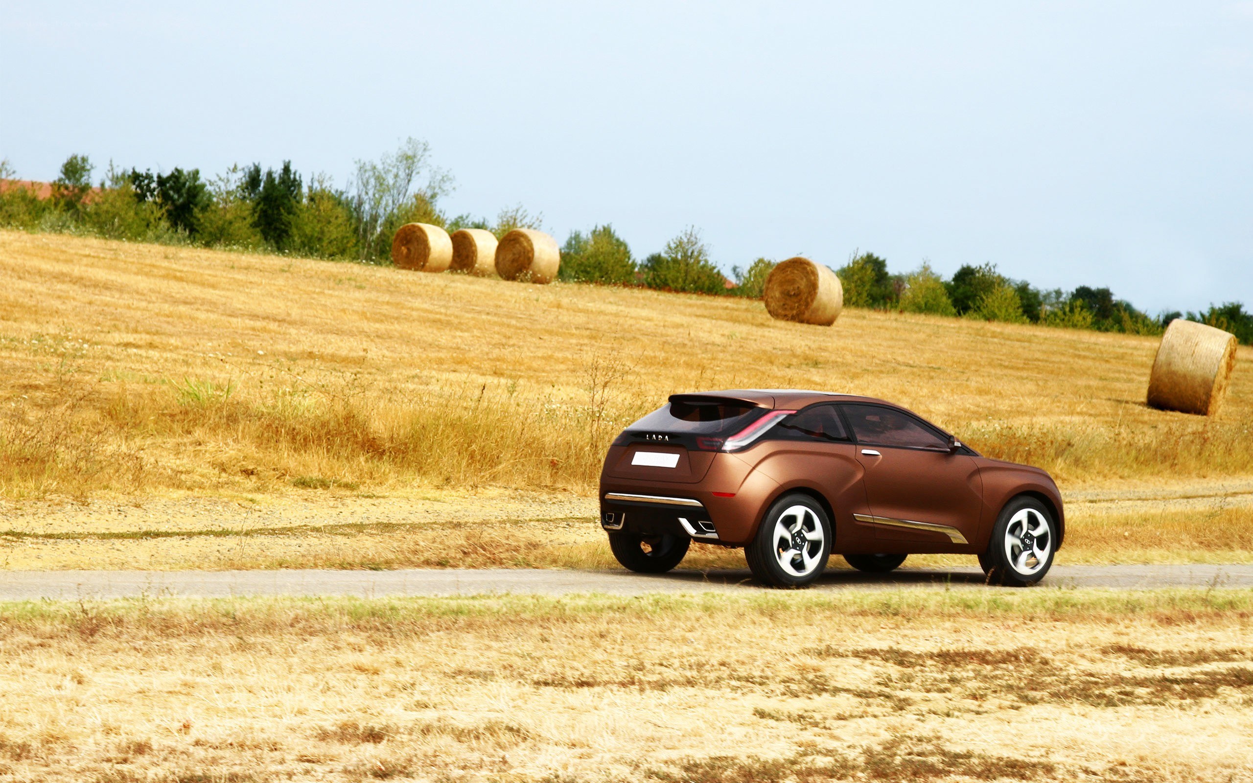 Brown car on rural road