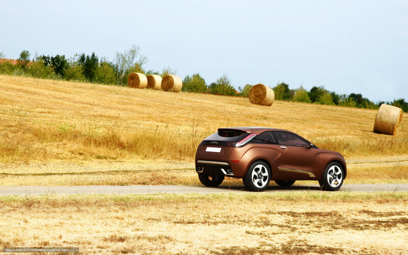 Brown car on rural road