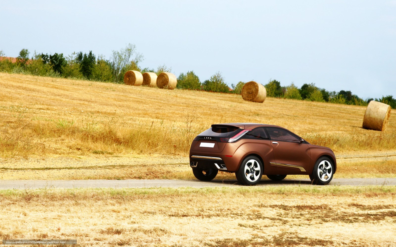 Brown car on rural road