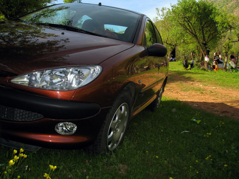 Brown car parked in a park