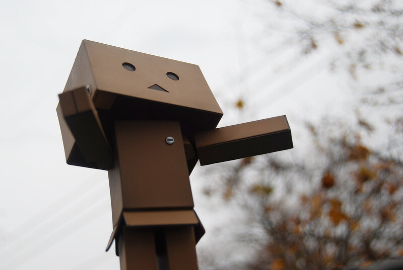Brown Cardboard Robot — Calm, Autumn