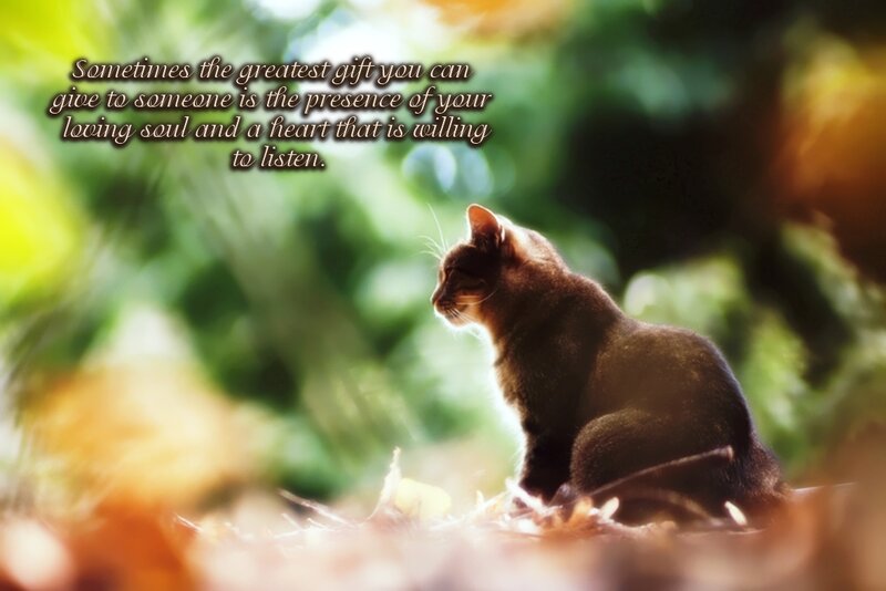 Brown Cat in Leaves