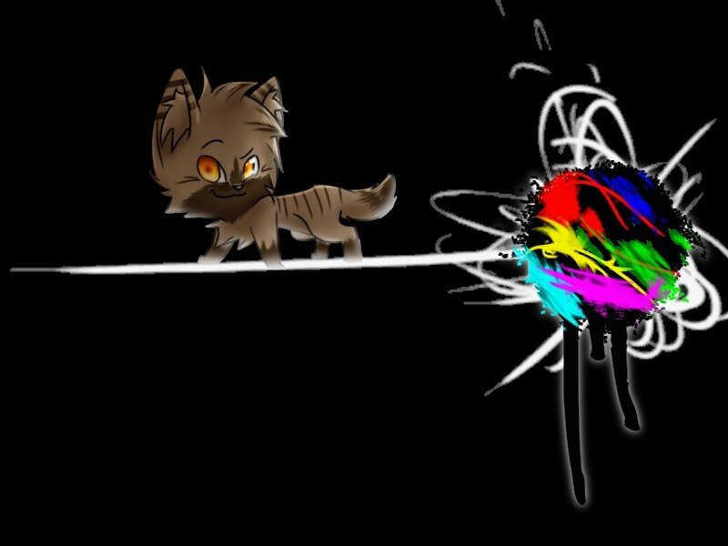 Brown Cat on a Line