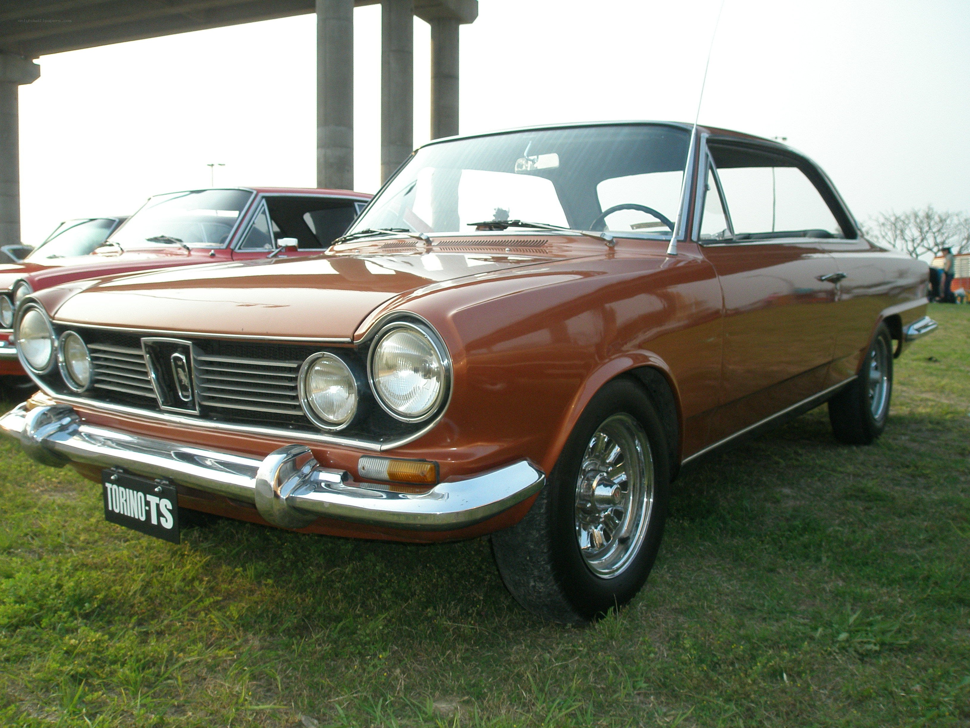 Brown classic car on grass