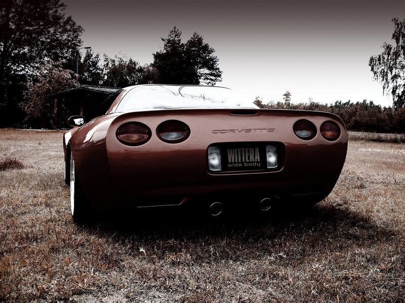 Brown Corvette in a field