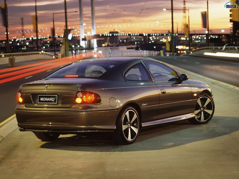 Brown Coupe Car — Gray