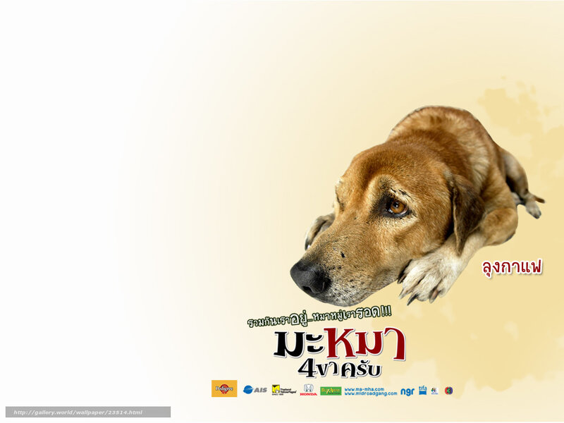 Brown Dog Lying Down — Beige