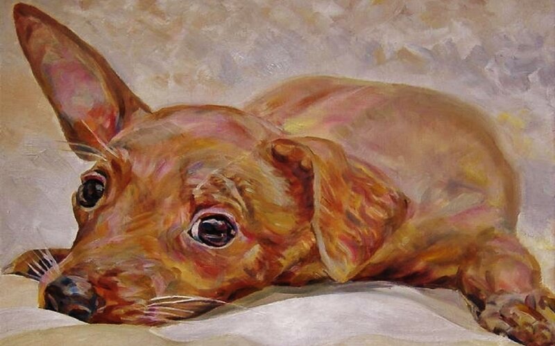 Brown Dog Lying Down — Calm, Painting
