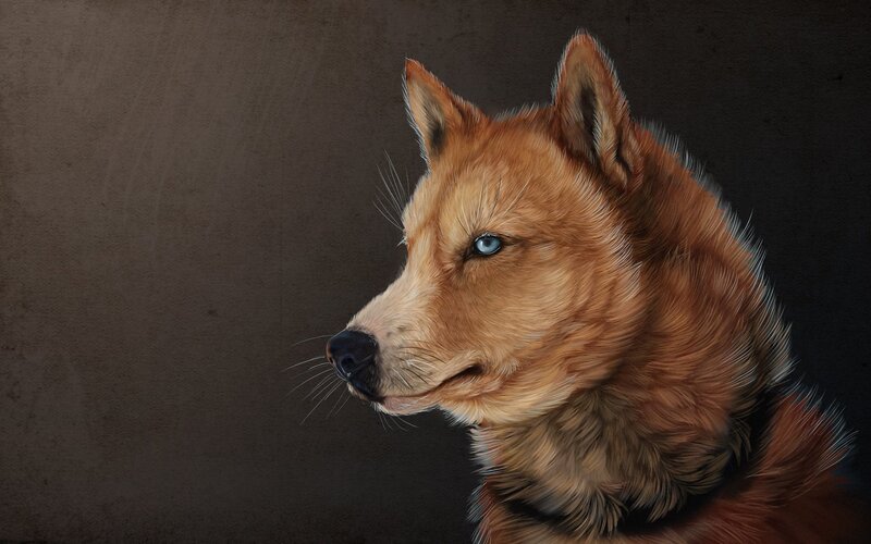 Brown Dog with Blue Eyes — Dramatic, Digital Art