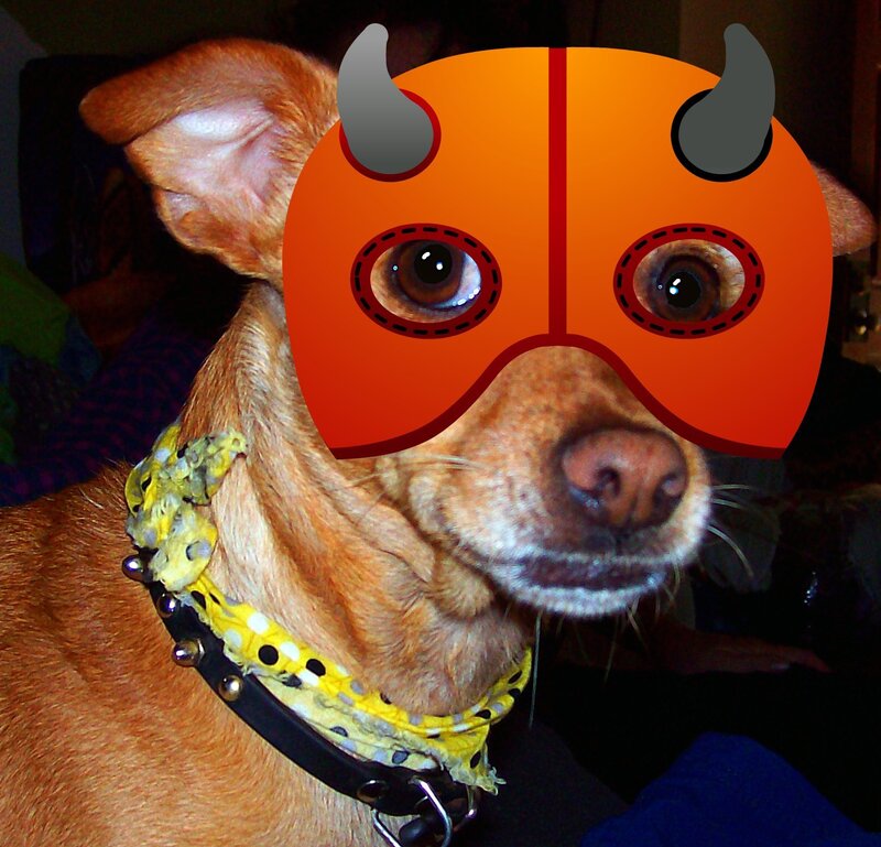 Brown Dog with Mask