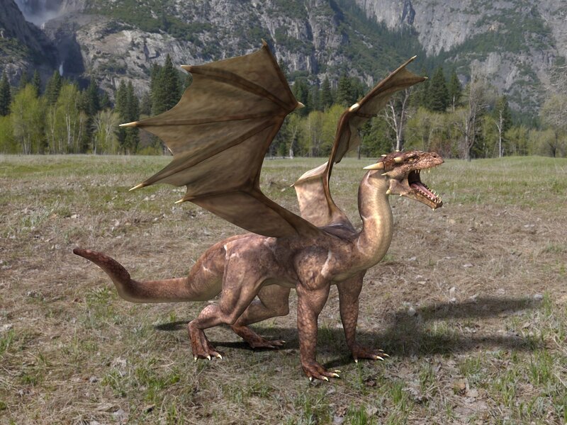 Brown Dragon in Field