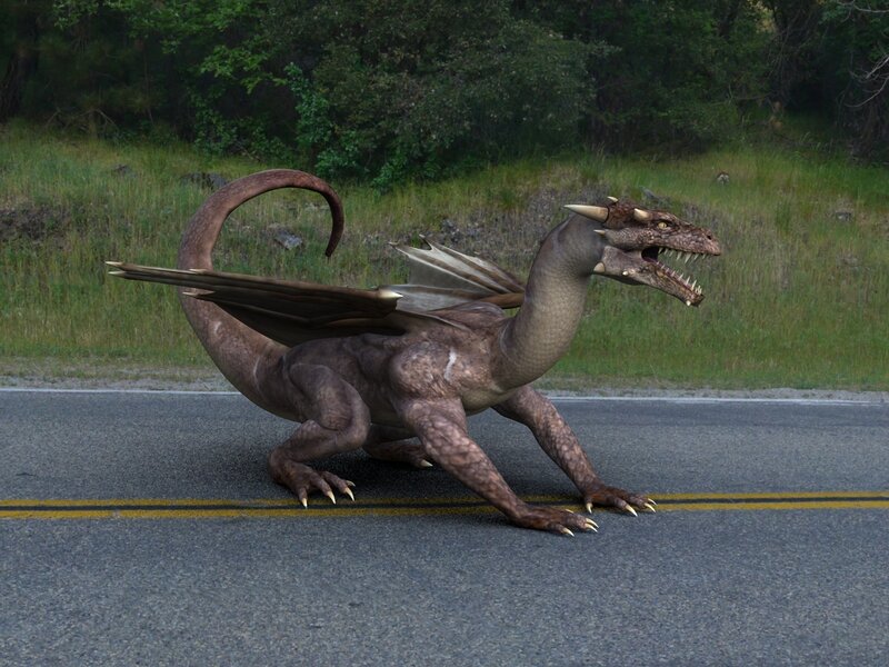 Brown Dragon on Road