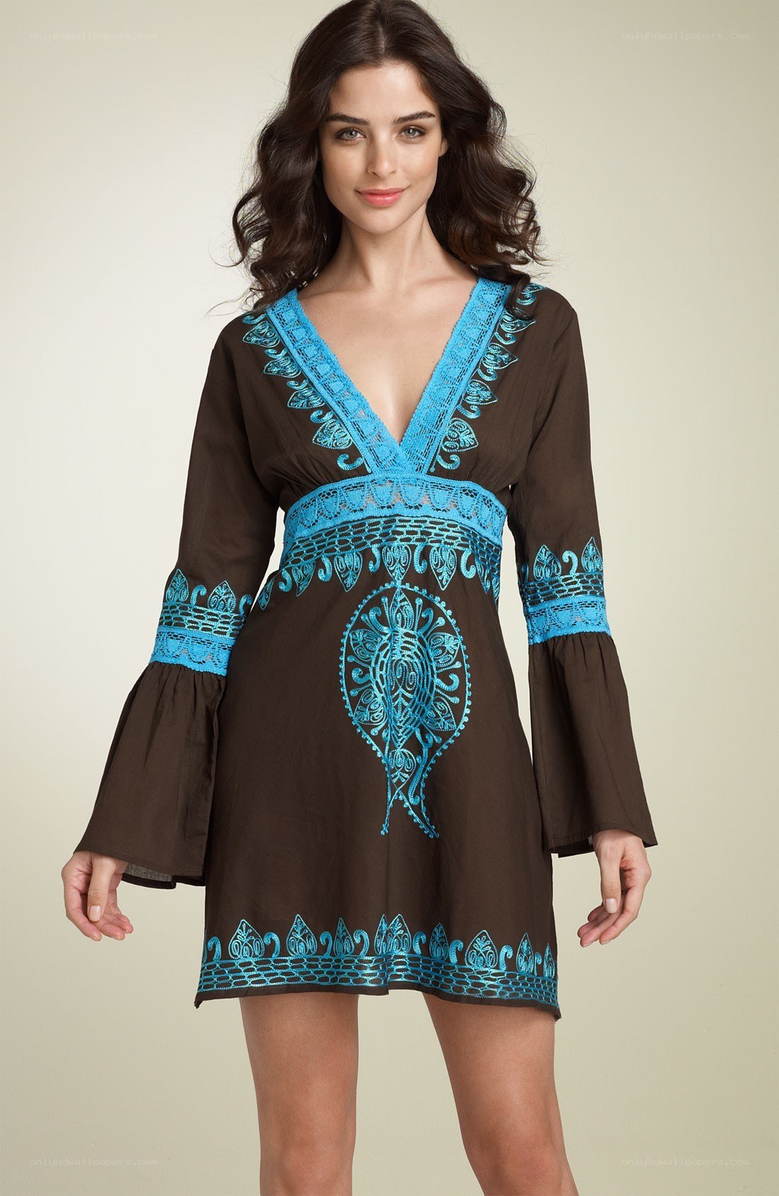 brown dress with blue embroidery