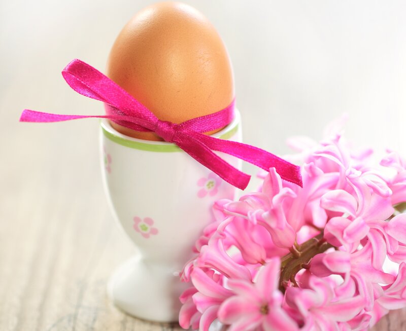 Brown Egg in Cup — Pink, Serene