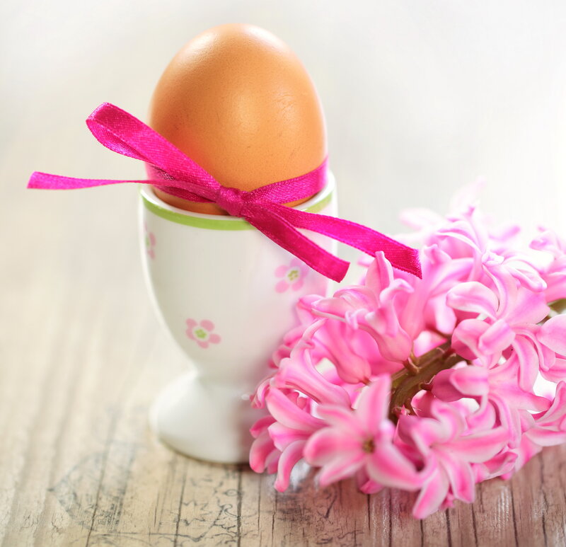 Brown Egg in Cup — Pink