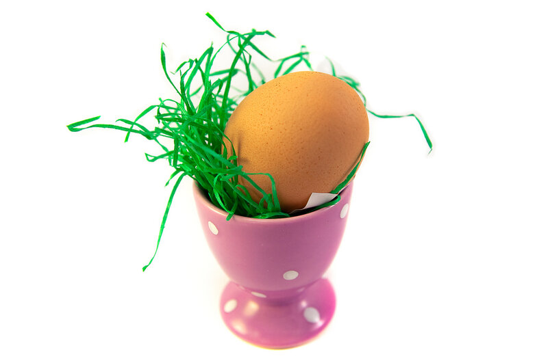 Brown Egg in Cup