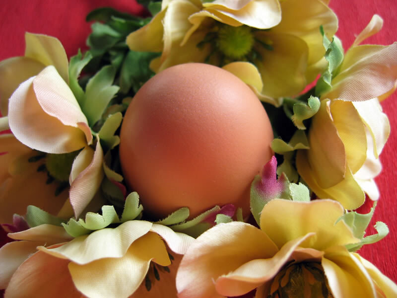 Brown Egg in Flower Wreath